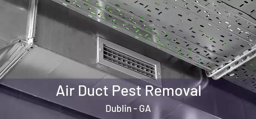  Air Duct Pest Removal Dublin - GA