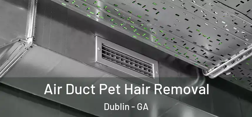  Air Duct Pet Hair Removal Dublin - GA