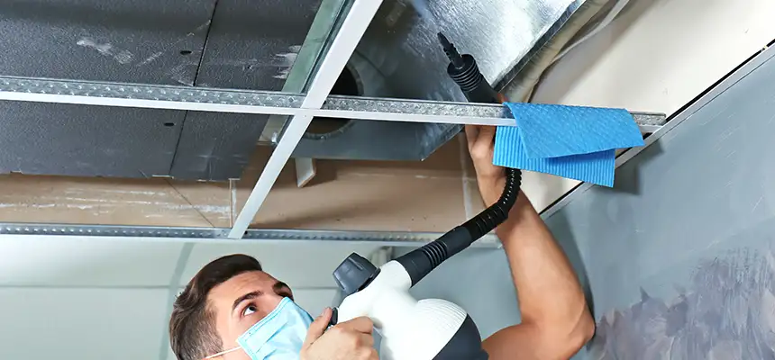 Our Air Duct Rodent Removal Services in Dublin, GA
