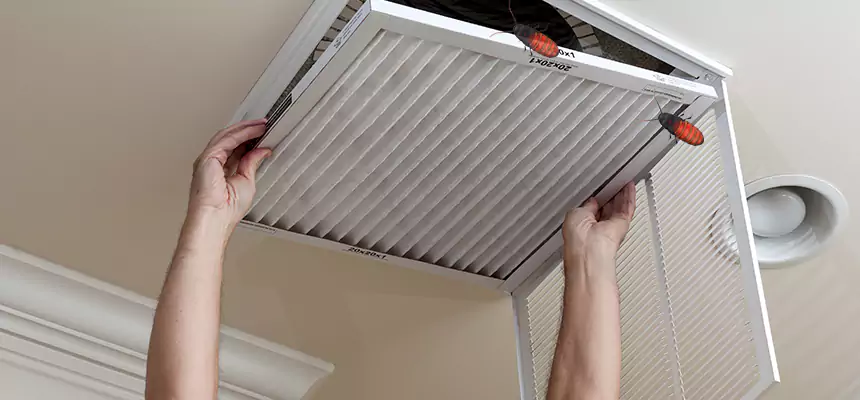 Our Insect Removal from Air Ducts Services in Dublin, GA