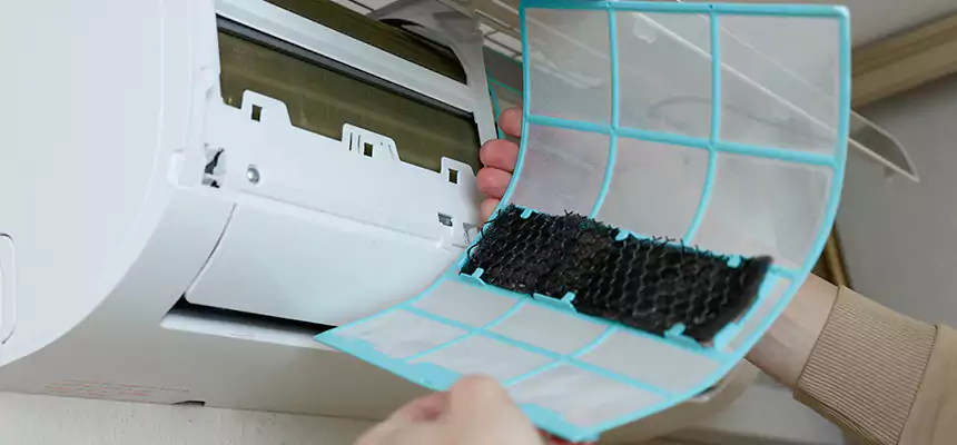 Gentle Ductwork Odor-Control Pet Dander Duct Cleaning in Dublin, GA