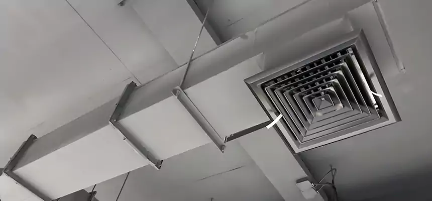 Our Rodent Droppings In Vents Services in Dublin, GA