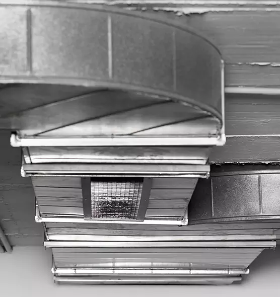 Professional Air Duct Pet Hair Removal in Dublin, GA