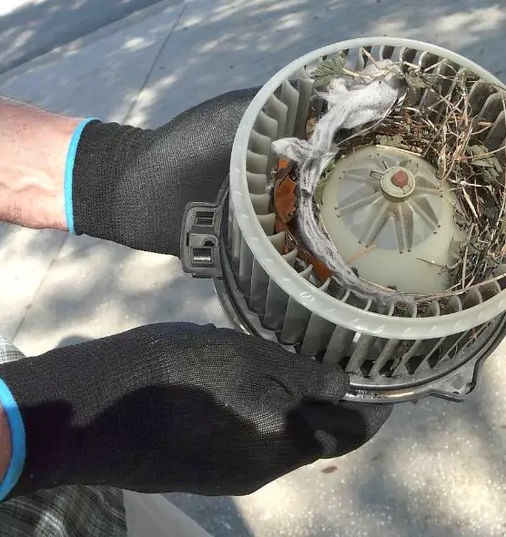 About Air Duct Rat Removal in Dublin, GA