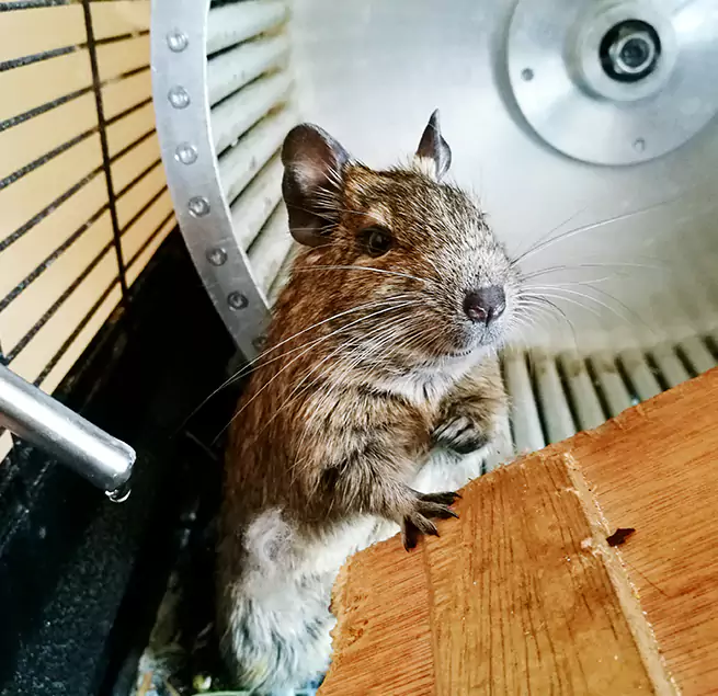 Why Homeowners & Businesses Trust Us Dublin, GA