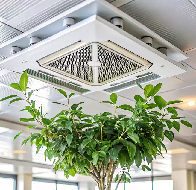 Why Homeowners & Businesses Trust Us in Dublin, GA