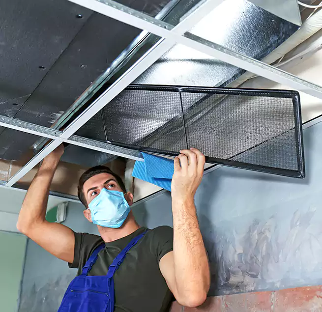 Why Homeowners Businesses Trust Us in Dublin, GA